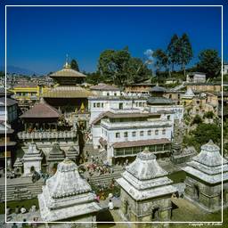 Kathmandutal (61) Pashupatinath