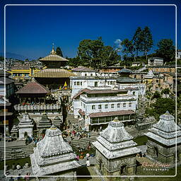 Kathmandu Valley (61) Pashupatinath