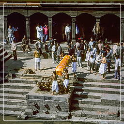Pashupatinath, Kathmandu Valley (62)