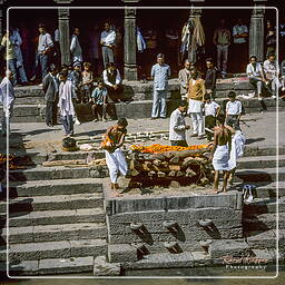 Kathmandu Valley (63) Pashupatinath