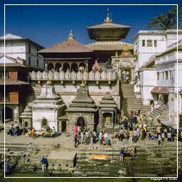 Kathmandu Valley (64) Pashupatinath