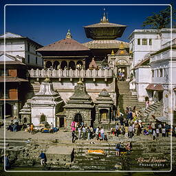 Vallée de Katmandou (64) Pashupatinath