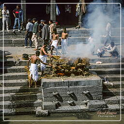 Vale de Catmandu (65) Pashupatinath