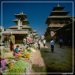 Vallée de Katmandou (39) Patan