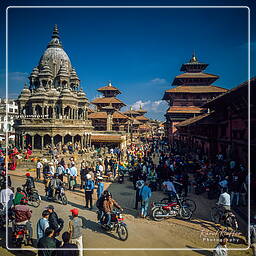 Valle di Katmandu (151) Patan