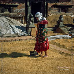 Patan, Vale de Catmandu (153)