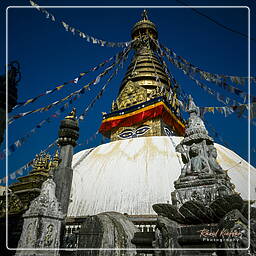 Vallée de Katmandou (83) Swayambhunath