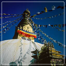 Vallée de Katmandou (85) Swayambhunath