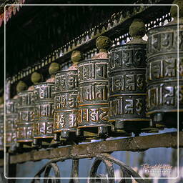 Valle de Katmandú (86) Swayambhunath