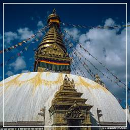 Valle di Katmandu (123) Swayambhunath