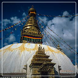 Valle de Katmandú (123) Swayambhunath