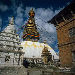 Vale de Catmandu (124) Swayambhunath