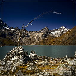 Khumbu (79) Gokyo (4 860 m)