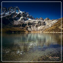 Khumbu (87) Gokyo (4,860 m)