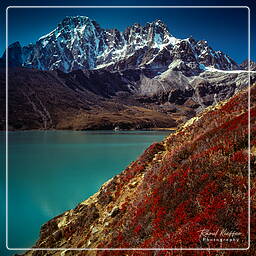 Gokyo (4,860 m), Khumbu (88)