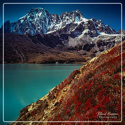 Khumbu (88) Gokyo (4 860 m)