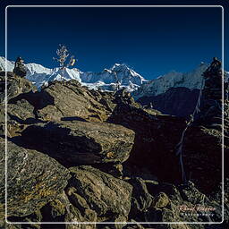 Khumbu (259) Gyachung Kang (7.952 m)