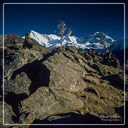 Cho Oyu (8188m) - Gyachung Kang (7,952 m), Khumbu (260)