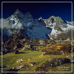 Khumbu (276)