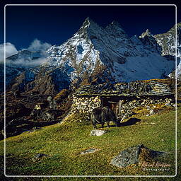 Khumbu (280)