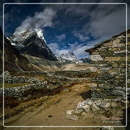 Khumbu (299) Dingboche (4 340 m)