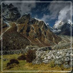 Khumbu (300) Dingboche (4.340 m)