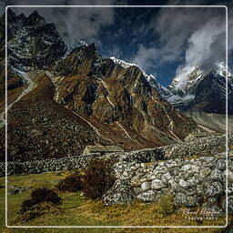 Dingboche (4,340 m), Khumbu (300)