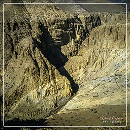 Gyakar, Mustang (39)