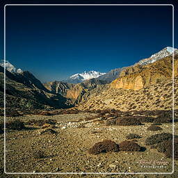 Shyammoche, Mustang (50)