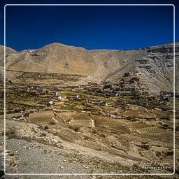 Giling, Mustang (57)