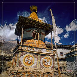 Giling, Mustang (59)