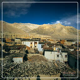 Gemi, Mustang (66)