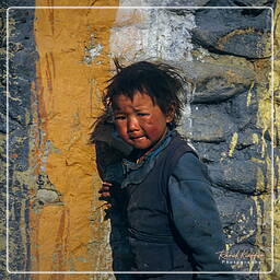 Gemi, Mustang (67)