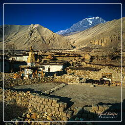 Gemi, Mustang (70)