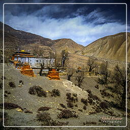 Lo Gekar, Mustang (71)