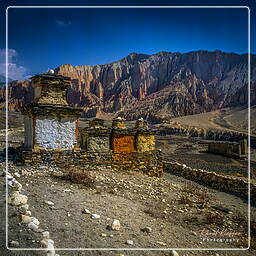 Tramar, Mustang (73)