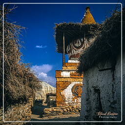 Tsarang, Mustang (90)