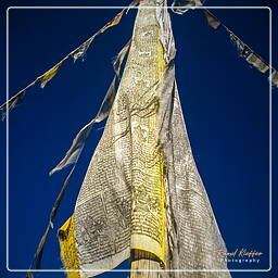Tsarang, Mustang (92)