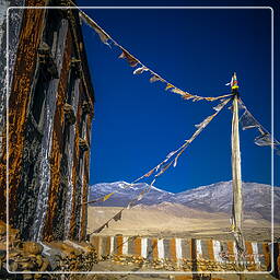 Tsarang, Mustang (95)