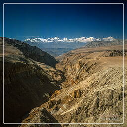Tsarang, Mustang (100)