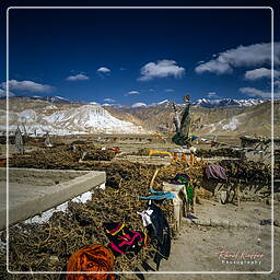 Mustang (114) Lo Manthang