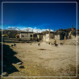 Lo Manthang, Mustang (153)