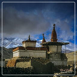 Mustang (160) Lo Manthang