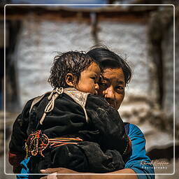 Nyphu, Mustang (164)