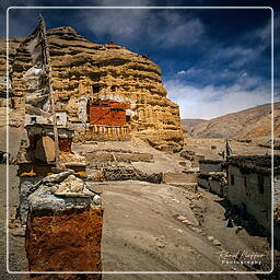 Nyphu, Mustang (165)