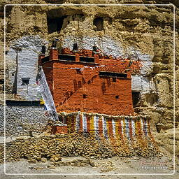 Nyphu, Mustang (166)