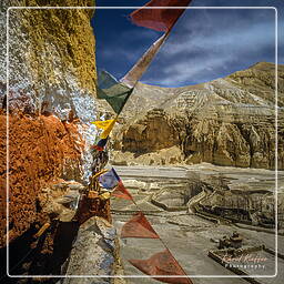 Nyphu, Mustang (168)