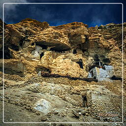 Nyphu, Mustang (169)