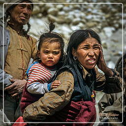 Nyphu, Mustang (171)