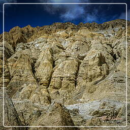 Dri, Mustang (175)